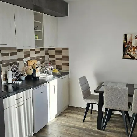 Suncani Breg App 8 公寓