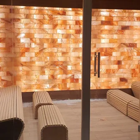 公寓 Suncani Breg App 8 科帕奥尼克