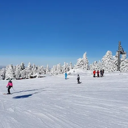 Suncani Breg App 8 公寓