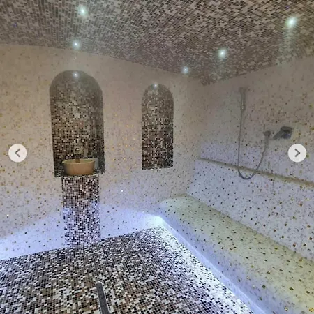 Suncani Breg App 8 科帕奥尼克